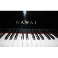 Call Store to Check Availability - Kawai