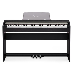 Call Store to Check Availability - Casio PX150